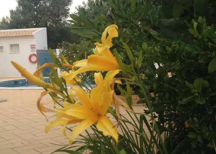 דירה Vilabranco אלבופיירה