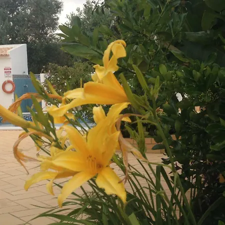 Apartment Vilabranco Albufeira