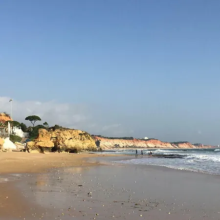 Vilabranco アパート *