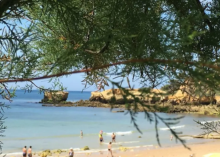 アパート Vilabranco